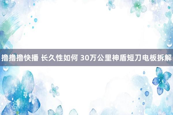 撸撸撸快播 长久性如何 30万公里神盾短刀电板拆解