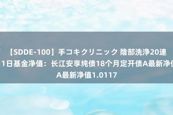 【SDDE-100】手コキクリニック 陰部洗浄20連発SP 8月1日基金净值：长江安享纯债18个月定开债A最新净值1.0117