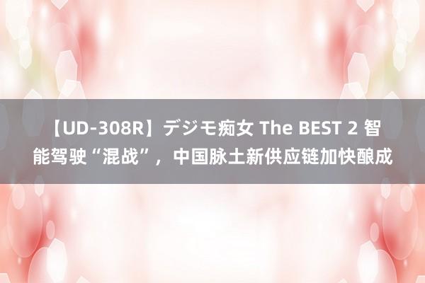 【UD-308R】デジモ痴女 The BEST 2 智能驾驶“混战”，中国脉土新供应链加快酿成