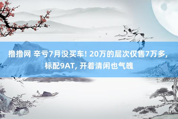 撸撸网 辛亏7月没买车! 20万的层次仅售7万多， 标配9AT， 开着清闲也气魄