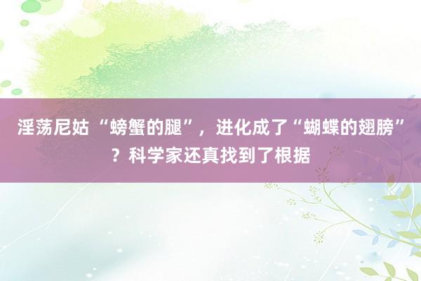 淫荡尼姑 “螃蟹的腿”，进化成了“蝴蝶的翅膀”？科学家还真找到了根据