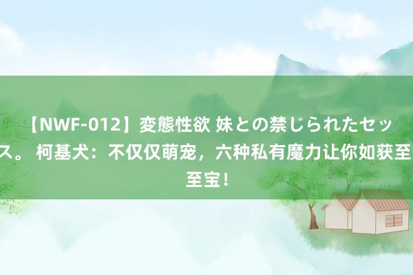 【NWF-012】変態性欲 妹との禁じられたセックス。 柯基犬：不仅仅萌宠，六种私有魔力让你如获至宝！