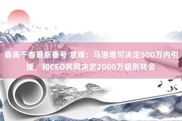 森高千春最新番号 意媒：马洛塔可决定500万内引援，和CEO共同决定2000万级别转会