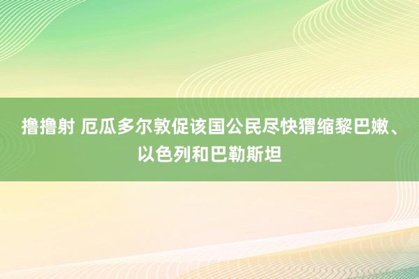 撸撸射 厄瓜多尔敦促该国公民尽快猬缩黎巴嫩、以色列和巴勒斯坦