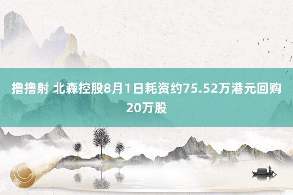 撸撸射 北森控股8月1日耗资约75.52万港元回购20万股