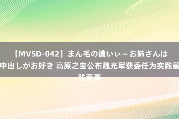 【MVSD-042】まん毛の濃いぃ～お姉さんは生中出しがお好き 高原之宝公布魏光军获委任为实践董事