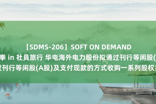 【SDMS-206】SOFT ON DEMAND 女子社員スペシャル野球拳 in 社員旅行 华电海外电力股份拟通过刊行等闲股(A股)及支付现款的方式收购一系列股权并召募配套资金