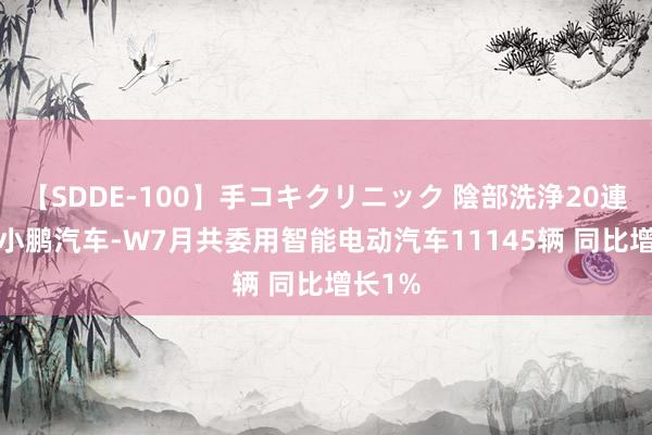 【SDDE-100】手コキクリニック 陰部洗浄20連発SP 小鹏汽车-W7月共委用智能电动汽车11145辆 同比增长1%