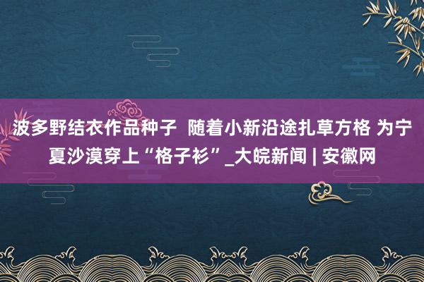 波多野结衣作品种子  随着小新沿途扎草方格 为宁夏沙漠穿上“格子衫”_大皖新闻 | 安徽网