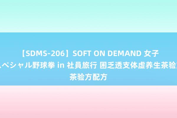 【SDMS-206】SOFT ON DEMAND 女子社員スペシャル野球拳 in 社員旅行 困乏透支体虚养生茶验方配方