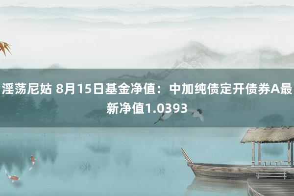 淫荡尼姑 8月15日基金净值：中加纯债定开债券A最新净值1.0393