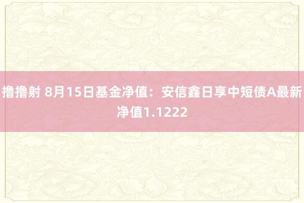 撸撸射 8月15日基金净值：安信鑫日享中短债A最新净值1.1222