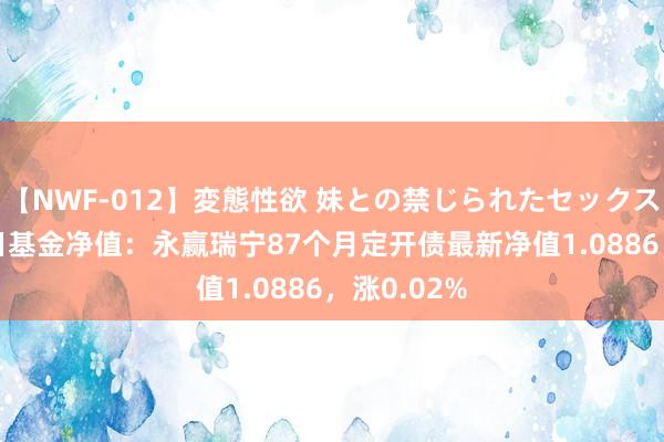 【NWF-012】変態性欲 妹との禁じられたセックス。 8月15日基金净值：永赢瑞宁87个月定开债最新净值1.0886，涨0.02%