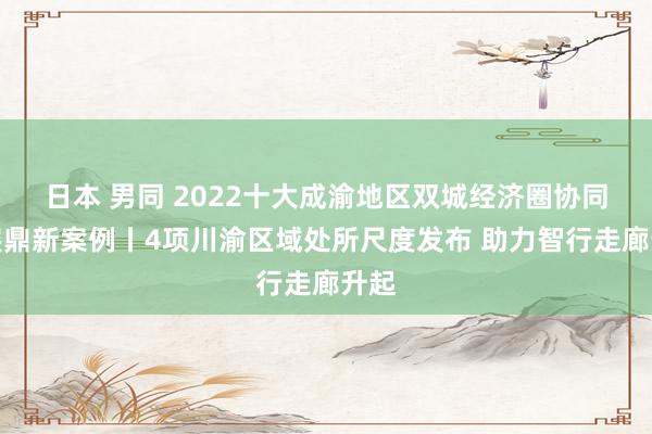 日本 男同 2022十大成渝地区双城经济圈协同发展鼎新案例丨4项川渝区域处所尺度发布 助力智行走廊升起