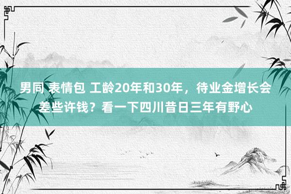 男同 表情包 工龄20年和30年，待业金增长会差些许钱？看一下四川昔日三年有野心