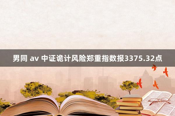 男同 av 中证诡计风险郑重指数报3375.32点