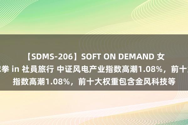 【SDMS-206】SOFT ON DEMAND 女子社員スペシャル野球拳 in 社員旅行 中证风电产业指数高潮1.08%，前十大权重包含金风科技等