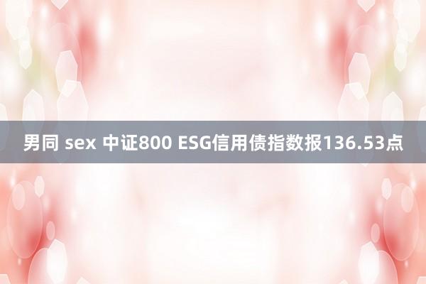 男同 sex 中证800 ESG信用债指数报136.53点