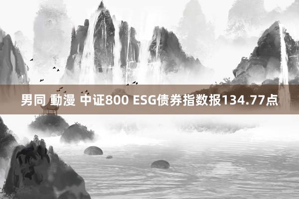 男同 動漫 中证800 ESG债券指数报134.77点