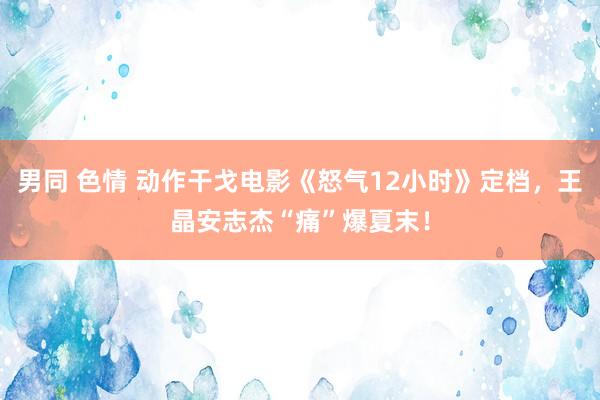 男同 色情 动作干戈电影《怒气12小时》定档，王晶安志杰“痛”爆夏末！